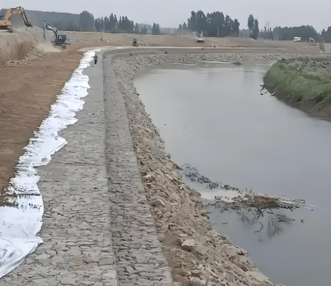 Blog công ty mới nhất về Gabion Mesh Machinery Empowering Green Infrastructure and Eco-Restoration Projects (Giện máy lưới Gabion hỗ trợ các dự án cơ sở hạ tầng xanh và khôi phục môi trường)